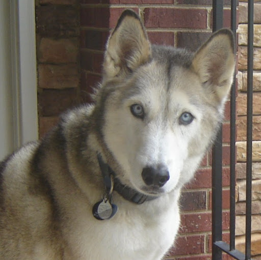 Carolyn Field Photo 33