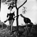 Marilyn Stump Photo 7