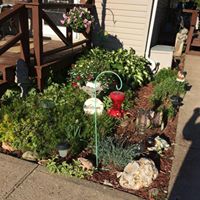 Julie Musser Photo 2