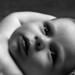 Aaron Schwarz Photo 33