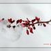 Joy Isaacs Photo 19