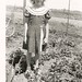 Cheryl Young Photo 28