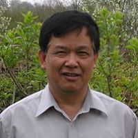 Dinh Tran Photo 17