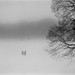 Ralph Hudson Photo 1