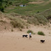 Troy Burrows Photo 35