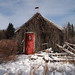Tracy Vines Photo 16