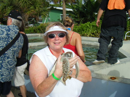 Janice Long Photo 32
