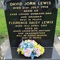 Stephen Lewis Photo 42