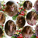 Stephanie Monroe Photo 37