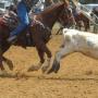 Aimee Shannon Photo 6
