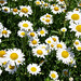 Kelley Summers Photo 15