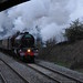Elizabeth Oldfield Photo 15