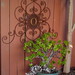 Cynthia Buckner Photo 20