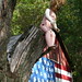 Dan Ludwig Photo 12