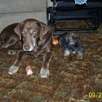 Connie Matthews Photo 12