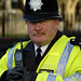 David Gannon Photo 41