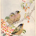 Janet Gordon Photo 8