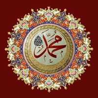 Arif Husain Photo 27