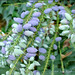 Holly Mathias Photo 11