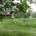 Janet Tweed Photo 11