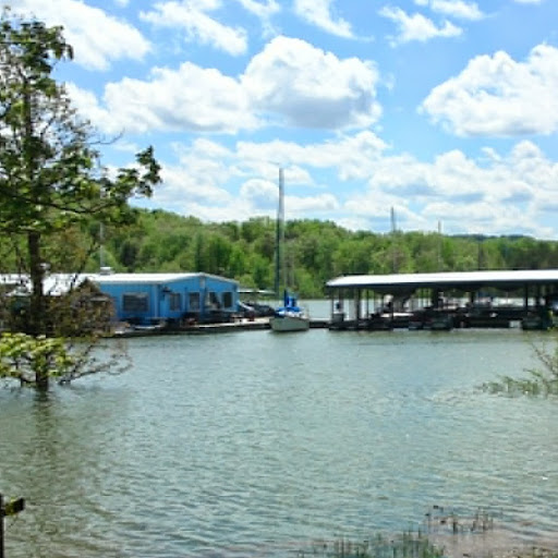 Ann Blevins Photo 17