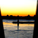 Carl Winters Photo 10