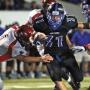Dennis Singleton Photo 24
