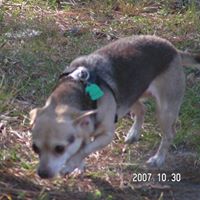 Kenneth Higginbotham Photo 6