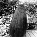 Mary Vue Photo 29
