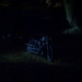 Roby Mills Photo 5