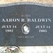 Aaron Baldwin Photo 27