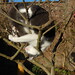 Catherine Huff Photo 28