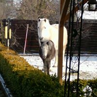 Lisa Hinz Photo 7