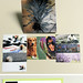 Amy Kirby Photo 32