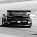 Bryan Milner Photo 9