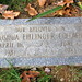Joshua Dougherty Photo 27
