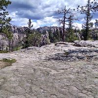 Sue Downing Photo 18
