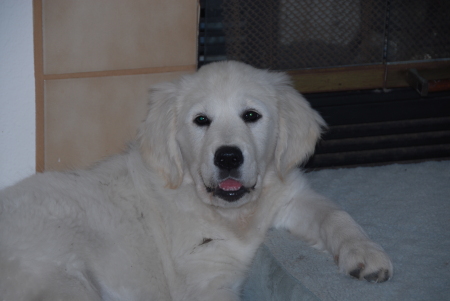 Sandy Sherman Photo 25