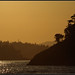 Curtis Rogers Photo 41