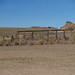 Douglas Dyer Photo 7