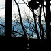 Andrew Fleck Photo 22