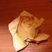Phu Tran Photo 23