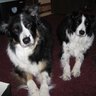 Janet Leeper Photo 5