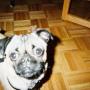 Nancy Doyle Photo 33