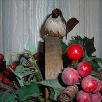 Joyce Thacker Photo 4