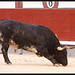 Gerardo Ortega Photo 38