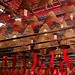 Man Cheung Photo 35