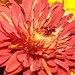 Joseph Wilt Photo 18