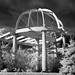 Wayne Rowe Photo 18