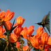 Linda Conway Photo 36